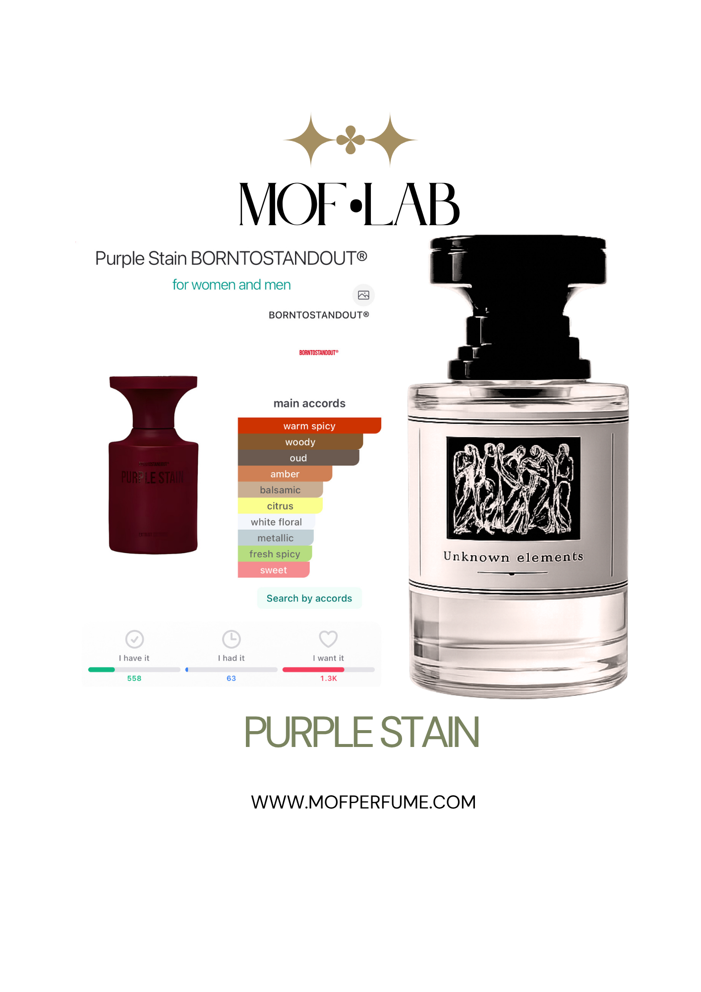 MOF - Purple Stain Borntostandout
