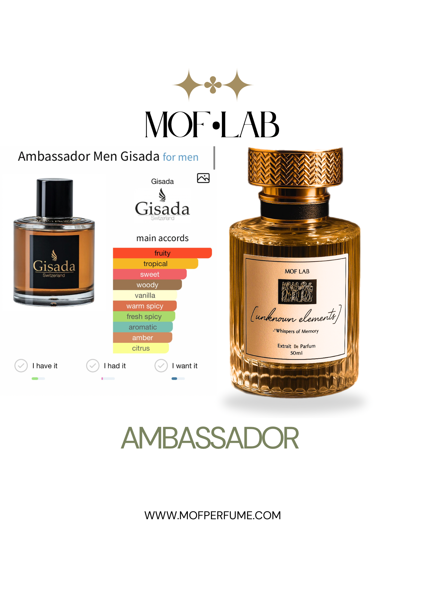 MOF - Ambassador Gisada