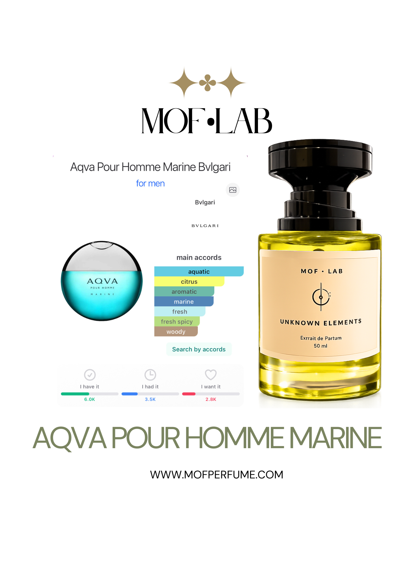 MOF - Aqva Pour Homme Marine