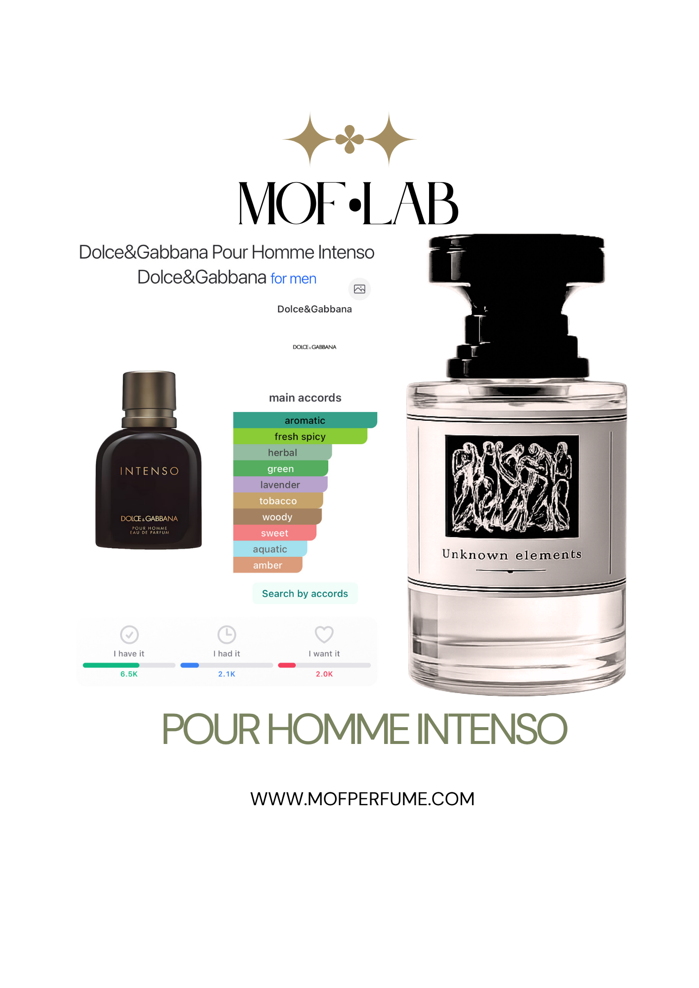 MOF - Pour Homme Intenso D&G
