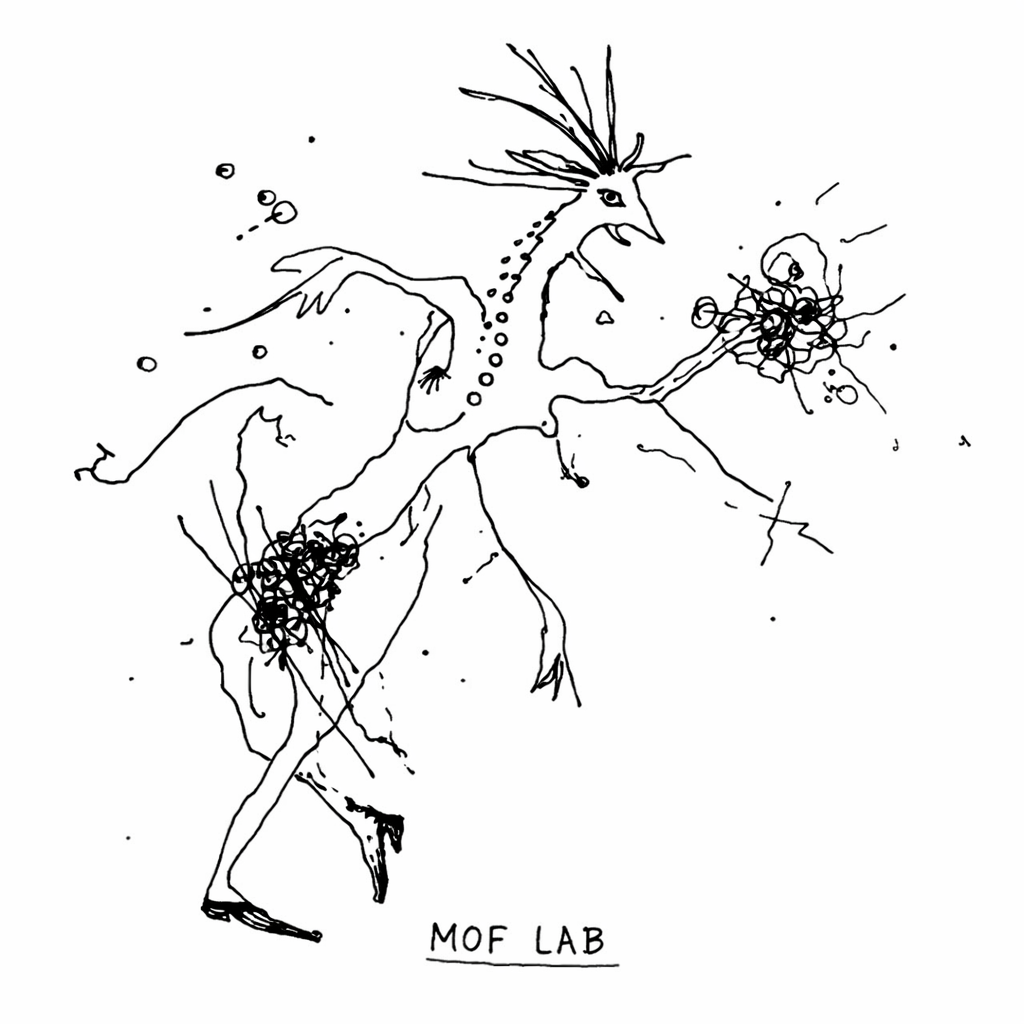 Unisex Collection MOF