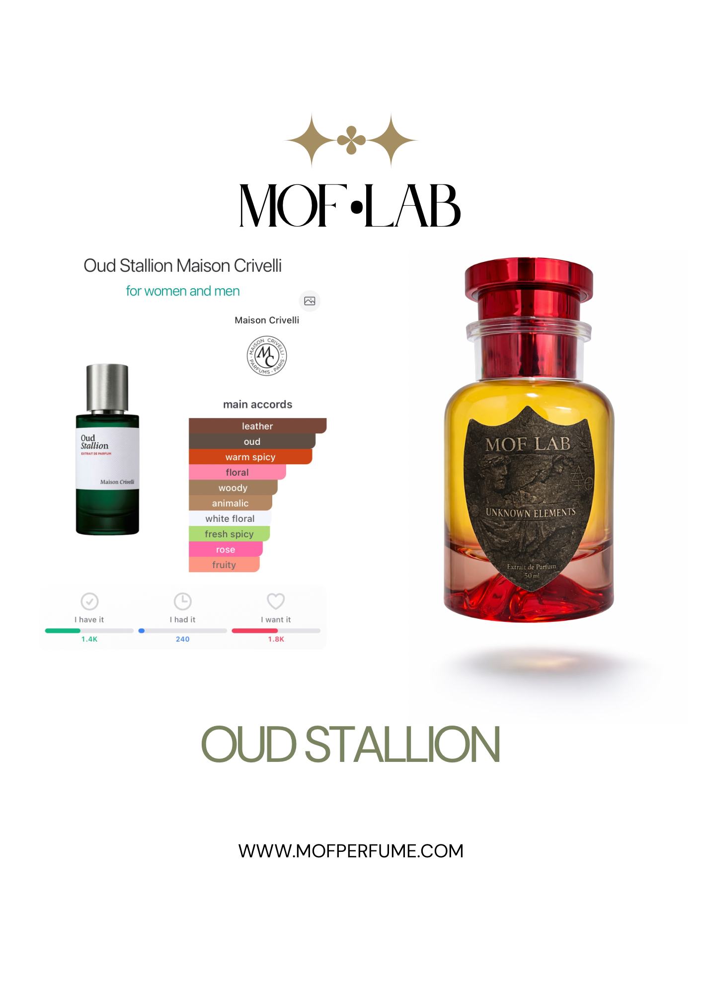 MOF - Oud Stallion Crivelli