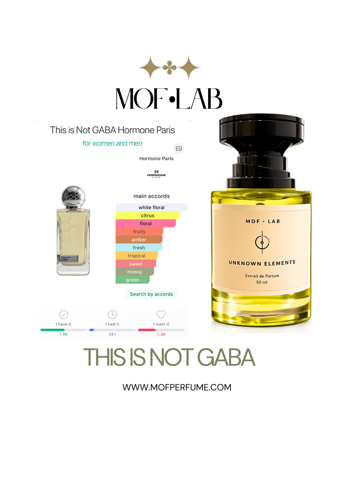 MOF - This is Not GABA Hormone Paris
