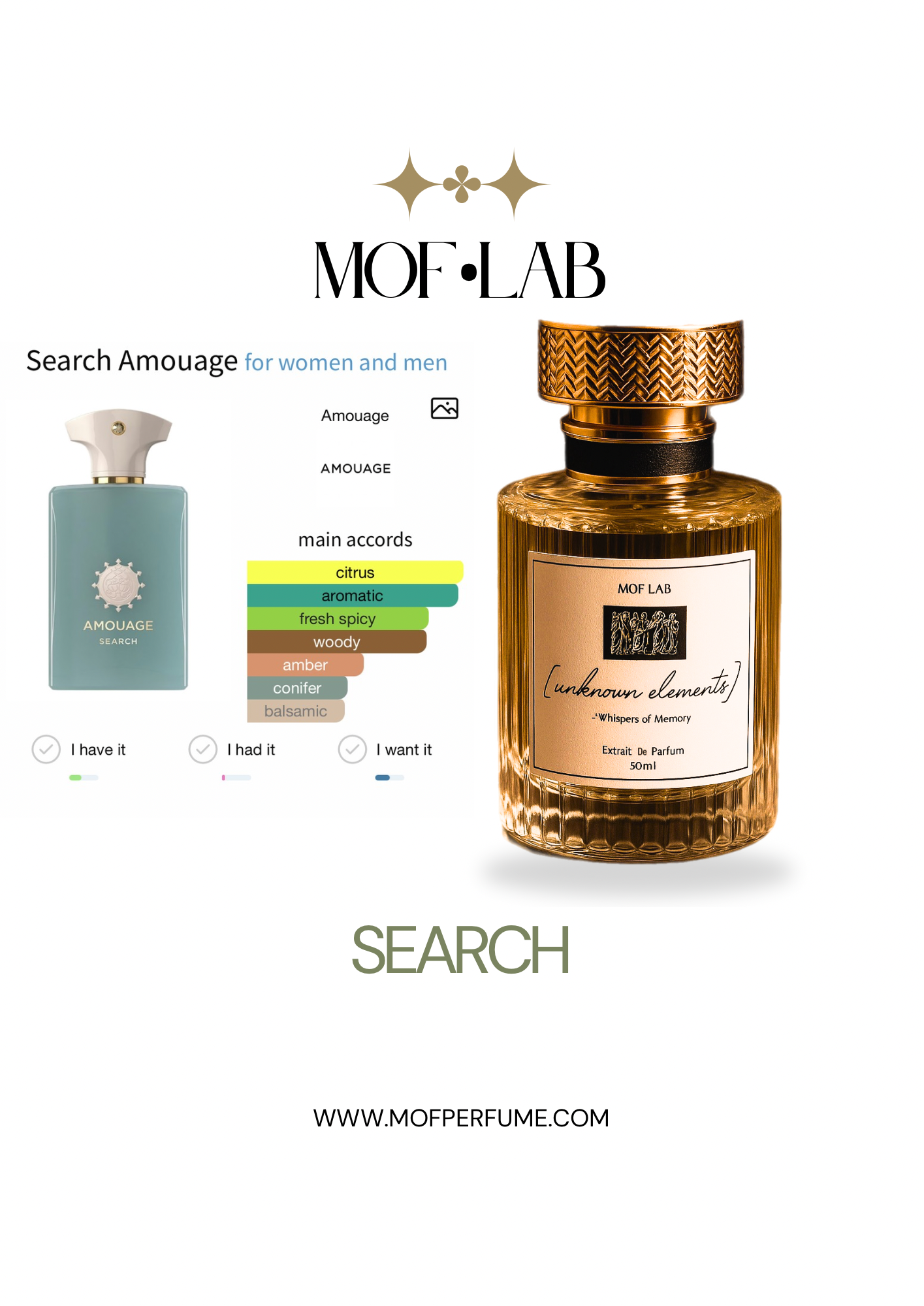 MOF - Search Amouage
