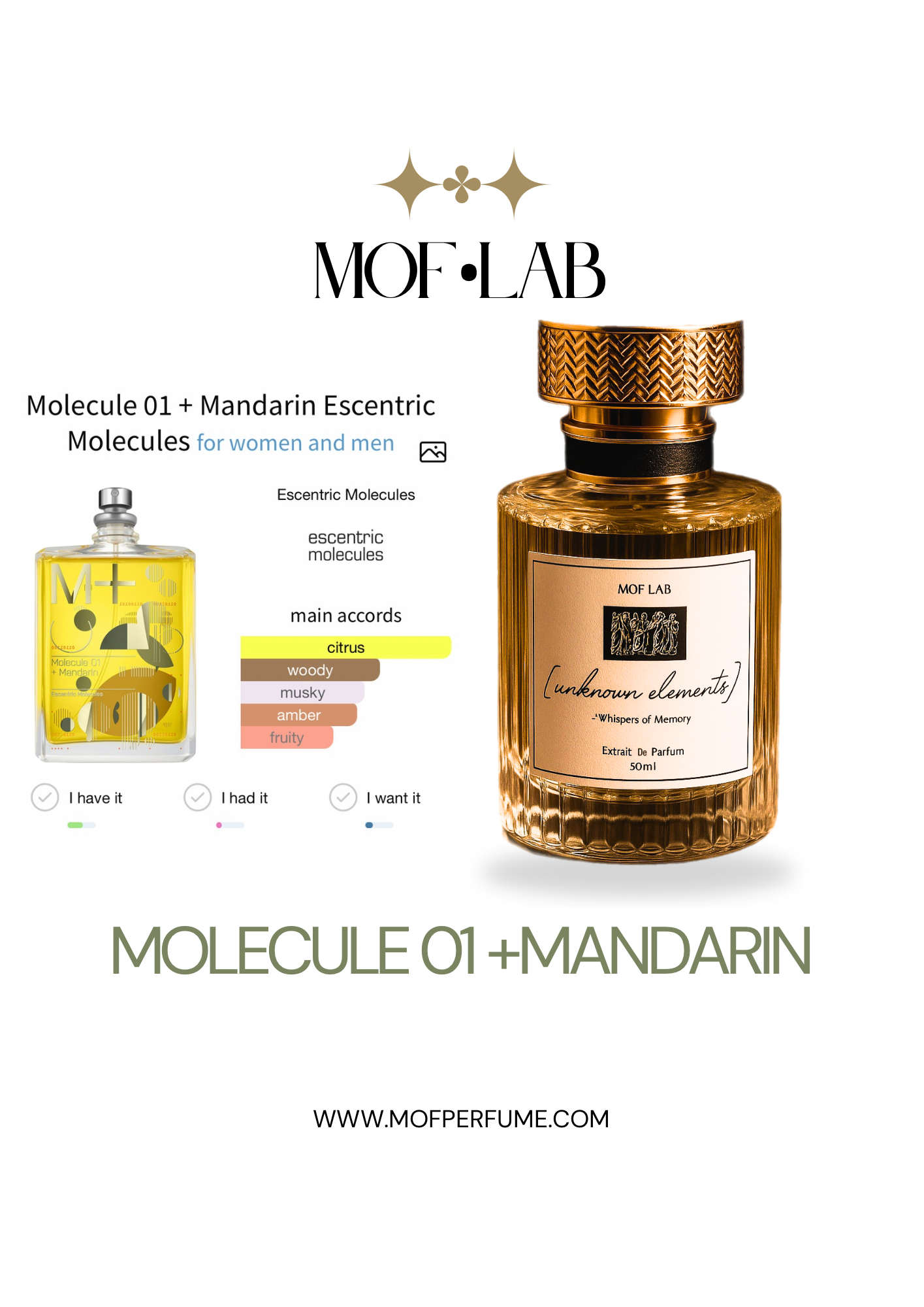 MOF - Molecule 01+ Mandarin Escentric Molecules