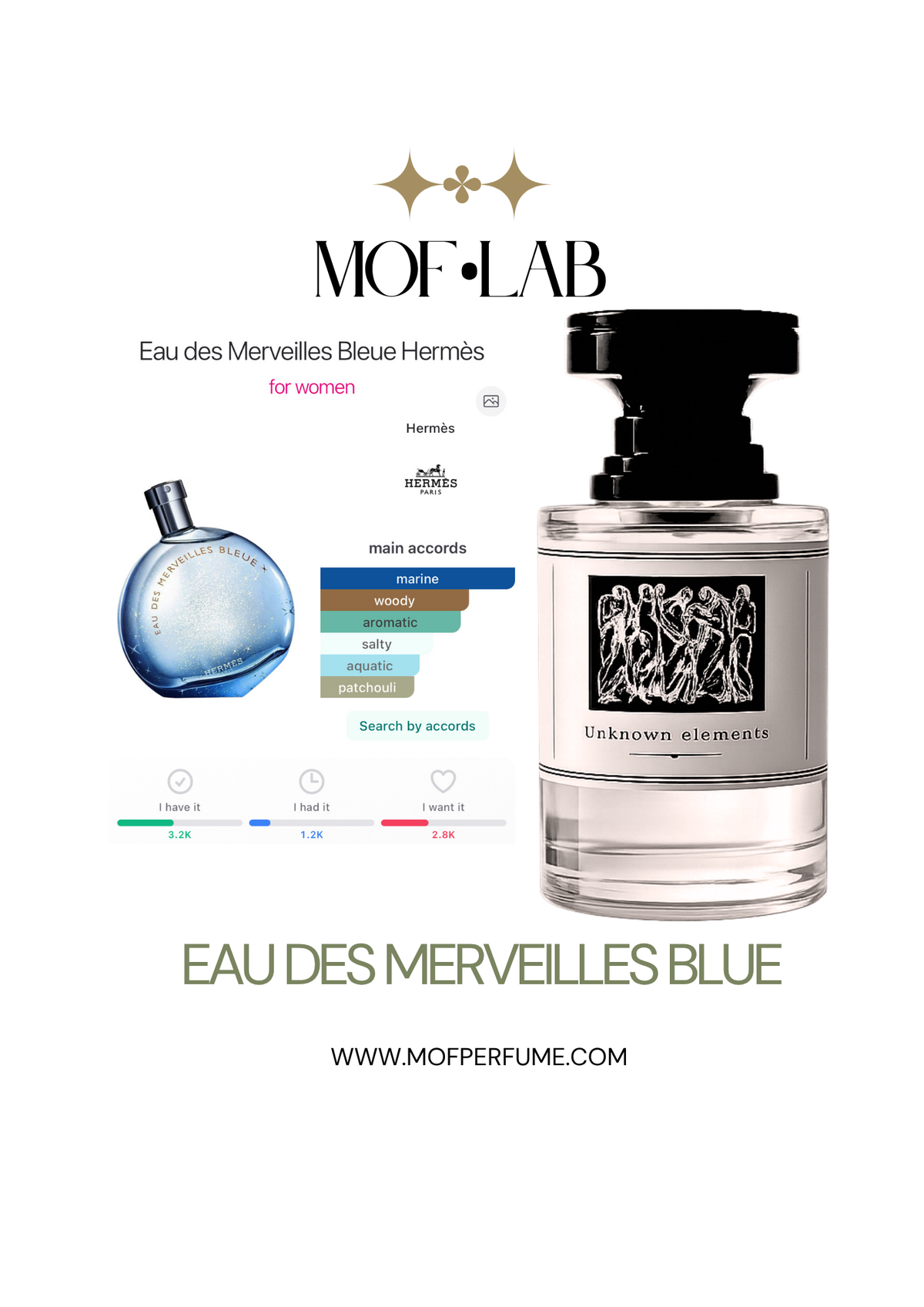 MOF - Eau des Merveilles bleue Hermes